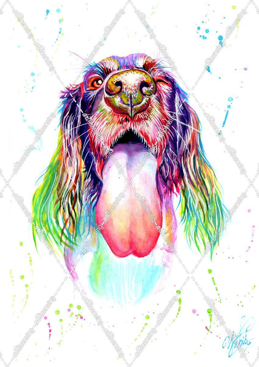 Colorful Portrait Of Dog Tongue Out