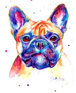 Colorful French Bulldog 2