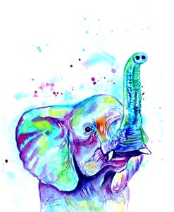 Elephant With Watercolor