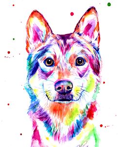 Colorful Portrait Of Wolf Dog