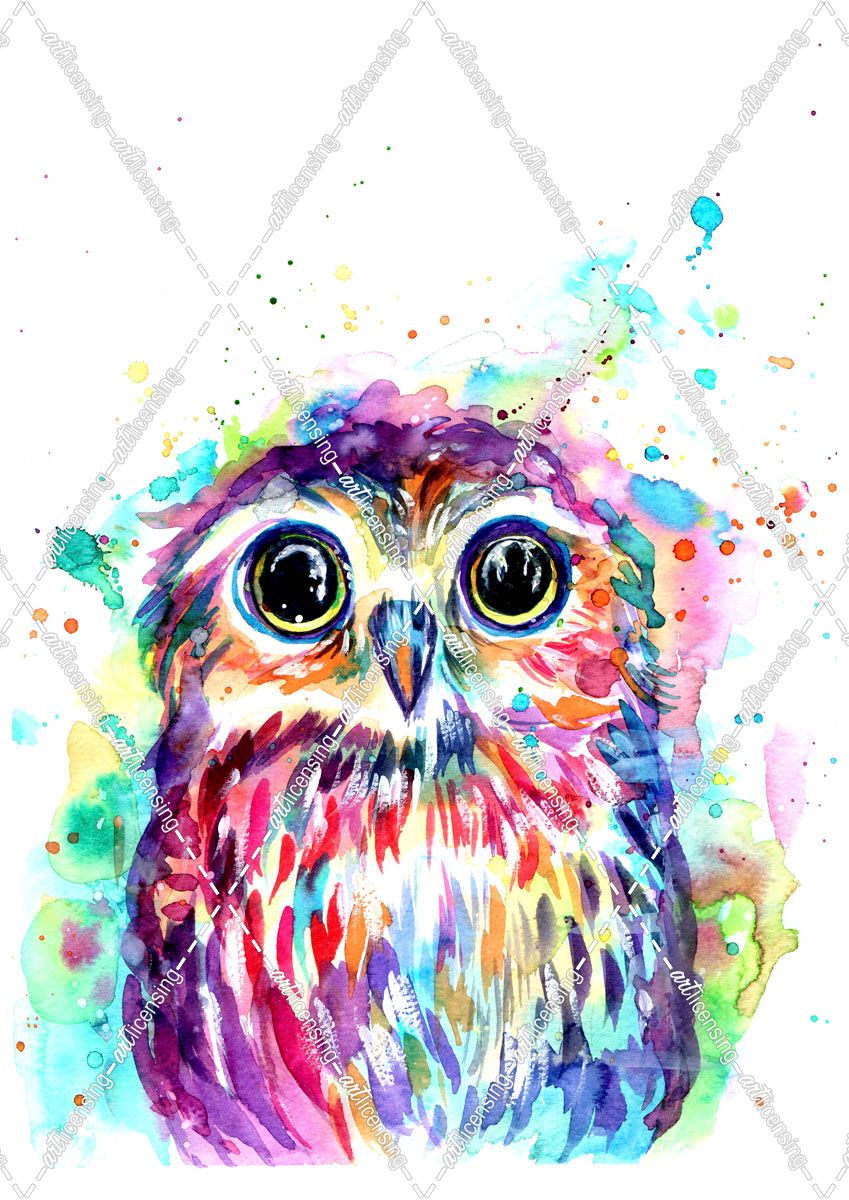 Owl With Watercolor