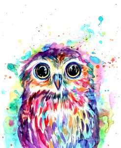 Owl With Watercolor