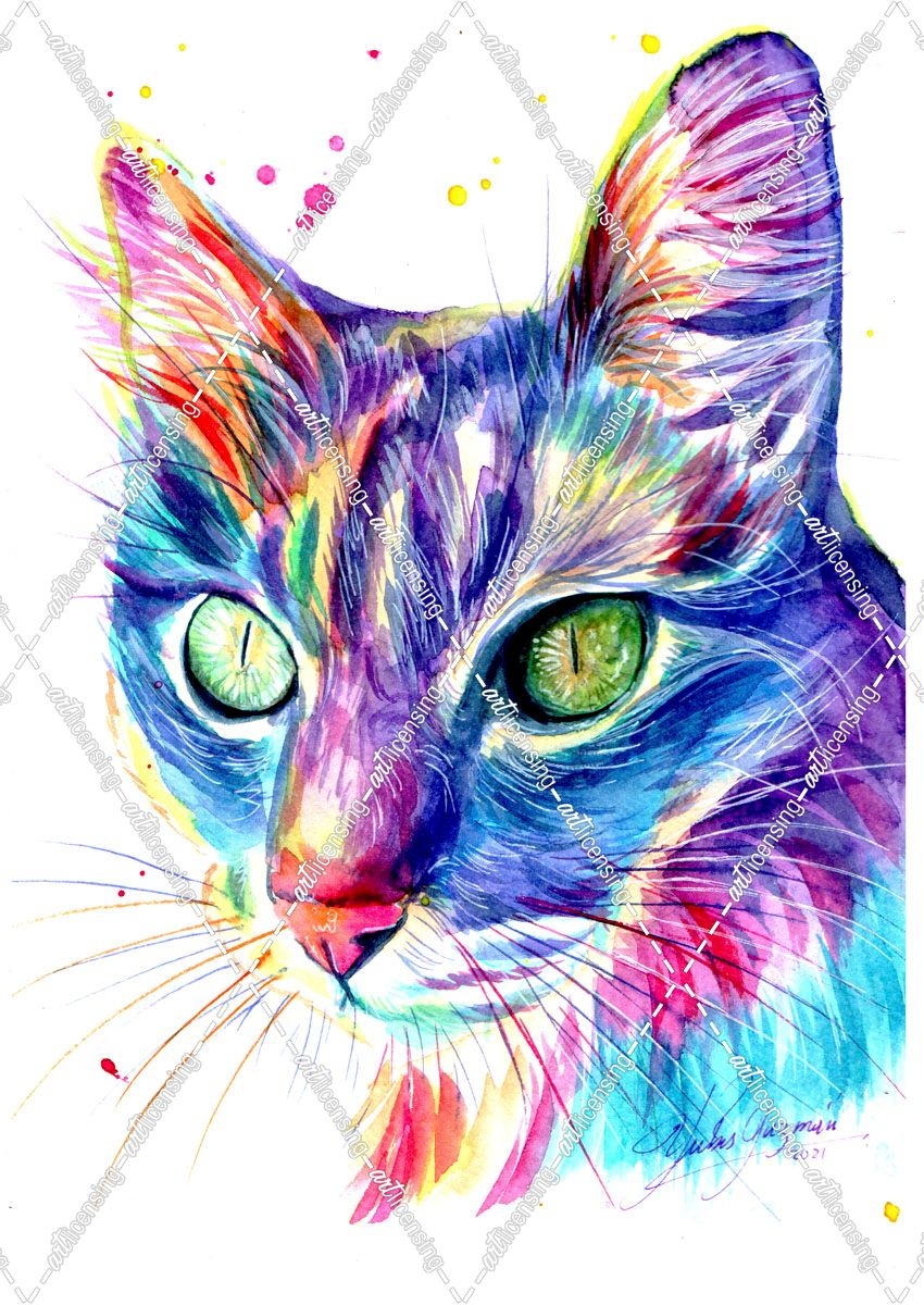 Rainbow Cat 2