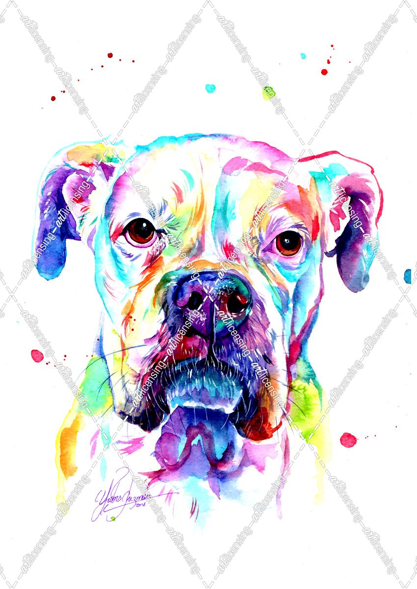 Multicolored Pitbull Portrait