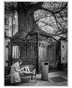 City, Woman, Tree, Urn, Loneliness (Film)