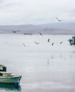 An Overcast Winter Day On The Aegean