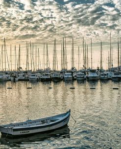 Marina At Sunrise