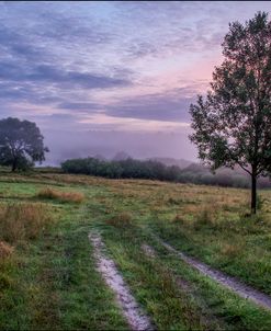 Northern Mowing At Dawn-2