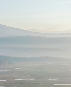 Morning Fog In The Mountains And On The River – Vertical