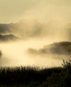 Morning Mist On The River