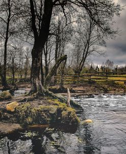 A Rock And A Stream