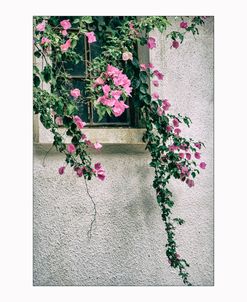 Floral Mediterranean Window