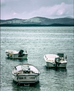 Motorboats at Anchor