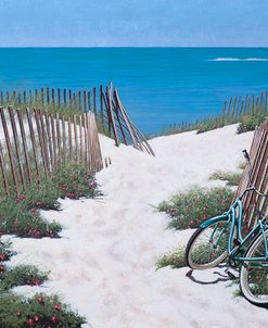Beach Bike