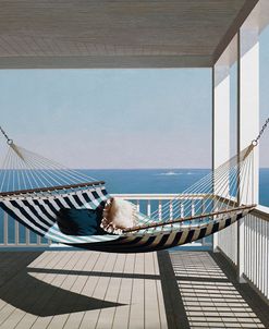 Hammock & Pillows