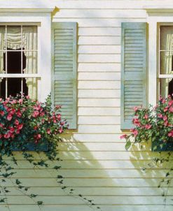 Windows With Flowerboxes