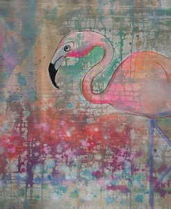 Flamingo Transparent